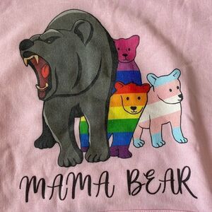 Mama Bear Pride LGBTQ+ Acceptance Hoodie Pink Small